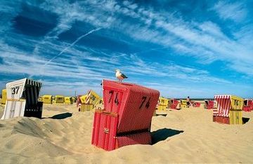 Langeoog: Strandkörv mit Möv