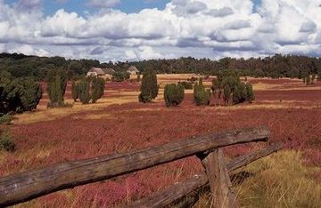 Park för Naturschuul Lünebörger Heid